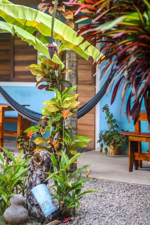 Back To The Beach Hostel - Pipa Praia de Pipa Exterior photo